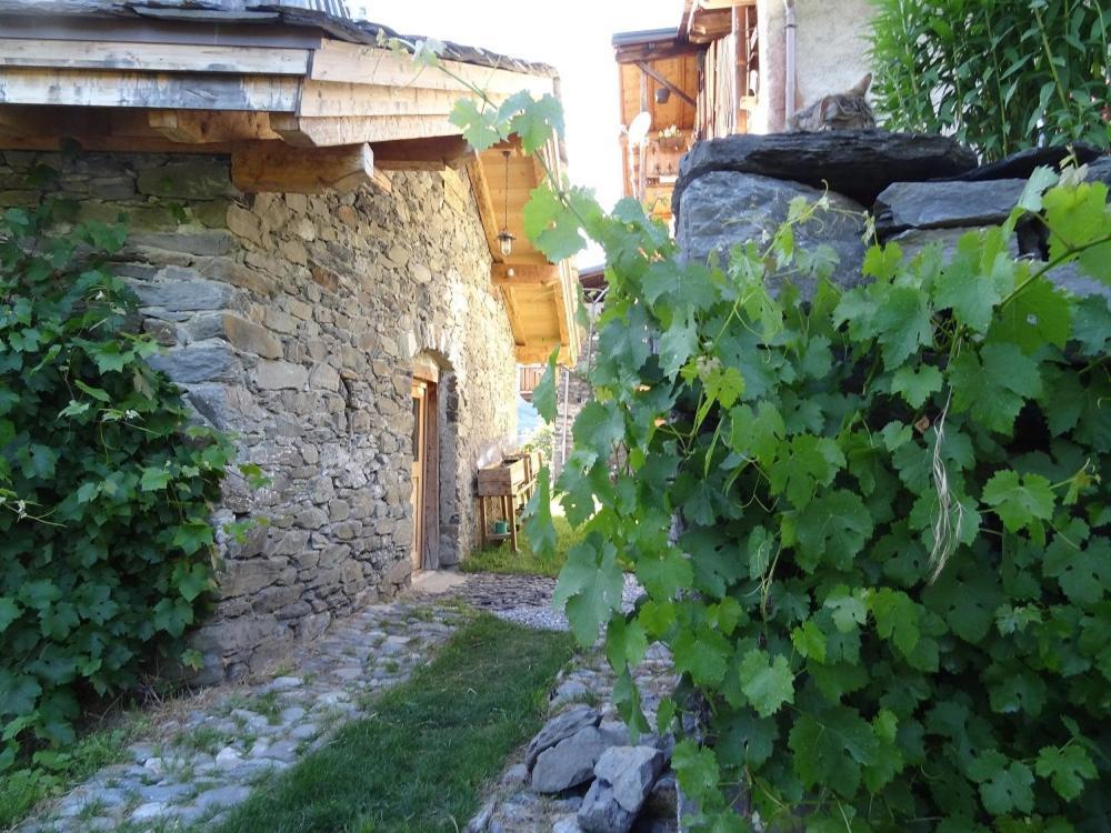 Bourg Saint Maurice Les Arcs - Maisonnette Grand Confort Dans Charmant Village De Montagne ! المظهر الخارجي الصورة